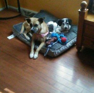 Meet your Posher, Alexander